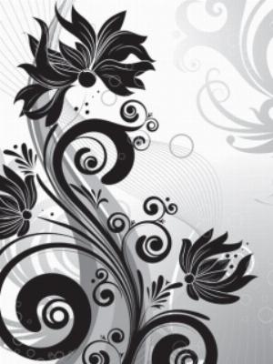 Black And Wyt.jpg Nature